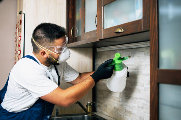 Best Pest Removal Services  in , DC