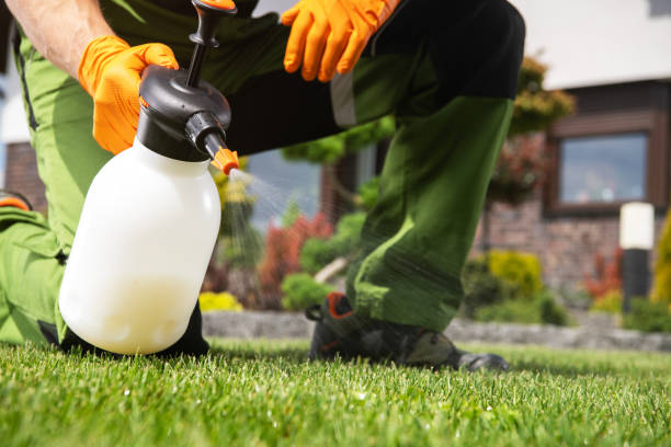 Best Mosquito Control Services  in , DC