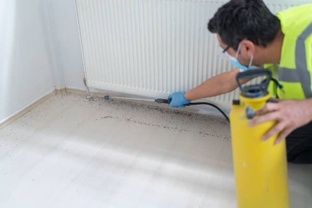 Best Cockroach Control Services  in , DC