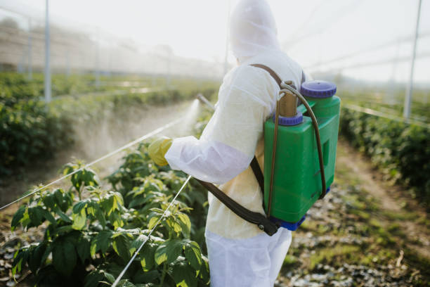 Best Residential Pest Control  in , DC